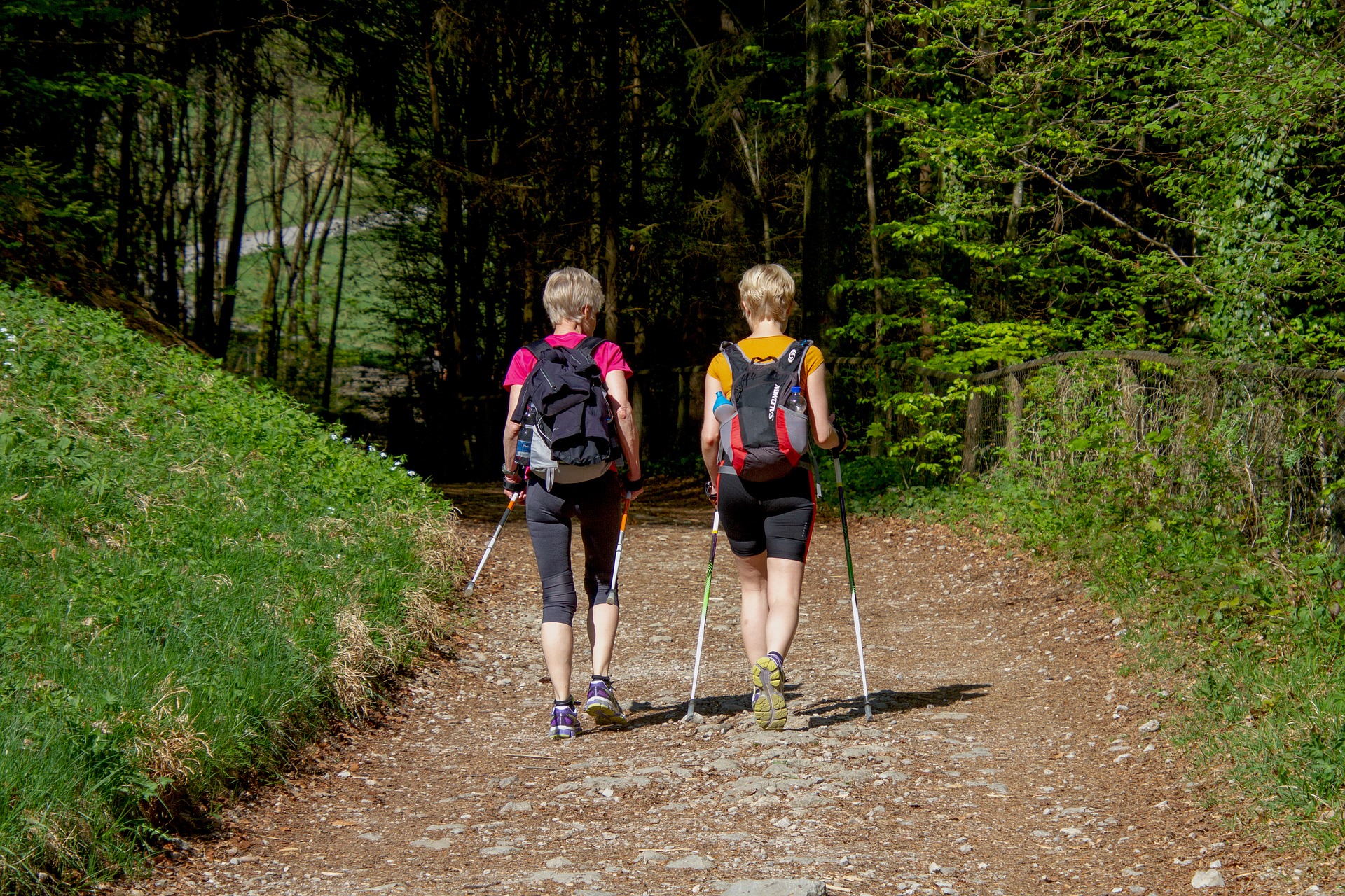 Beitragsbild zur Illustration - zwei Frauen beim Nordic Walking im Wald, aufgenommen von hinten